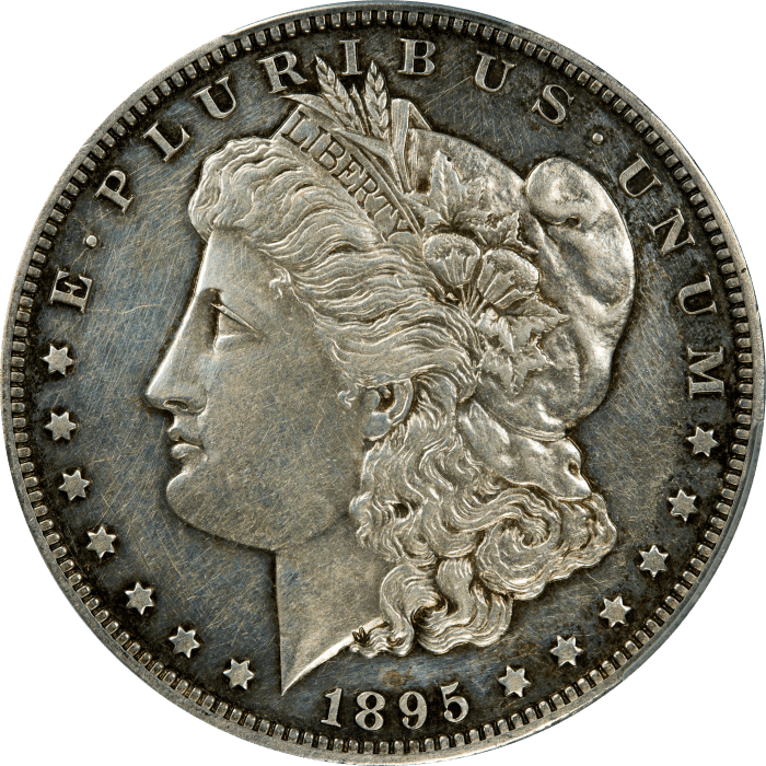 1895 Morgan Dollar ($1) OBVERSE Image