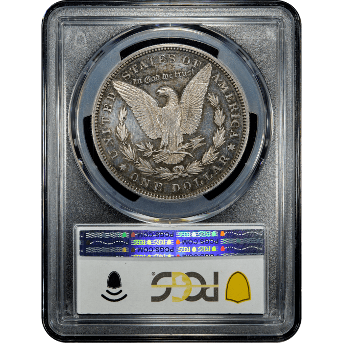 1895 Morgan Dollar ($1) SLAB Image