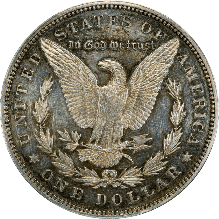 1895 Morgan Dollar ($1) REVERSE Image