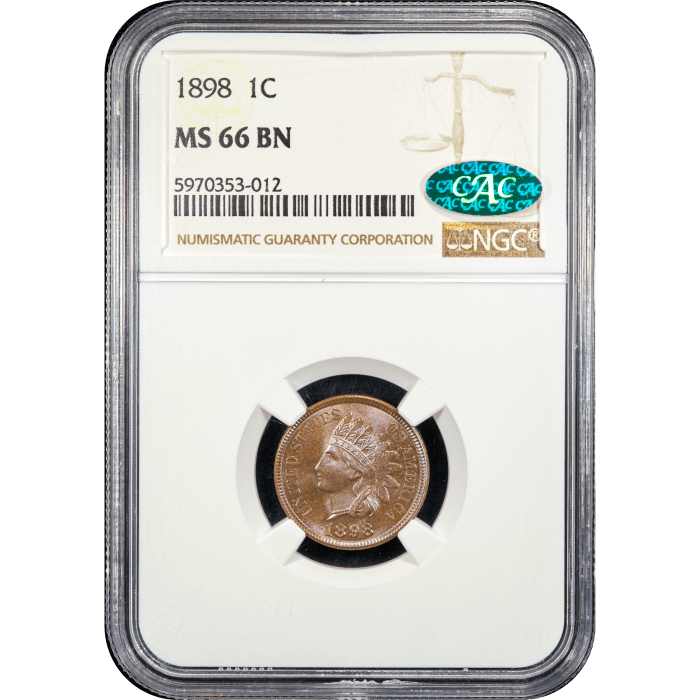 1898 Indian Cent (1c) SLAB Image