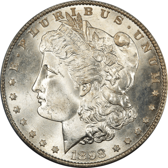 1898 Morgan Dollar ($1) Obverse Image