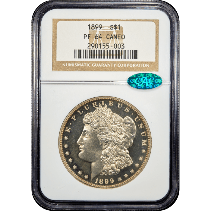 1899 Morgan Dollar ($1) Obverse Slab Image