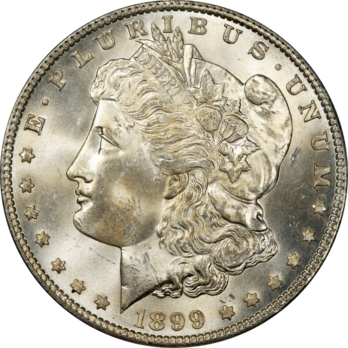 1899 Morgan Dollar ($1) OBVERSE Image