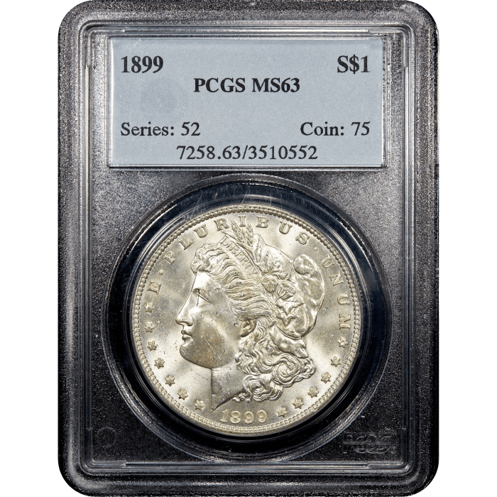 1899 Morgan Dollar ($1) Obverse Slab Image