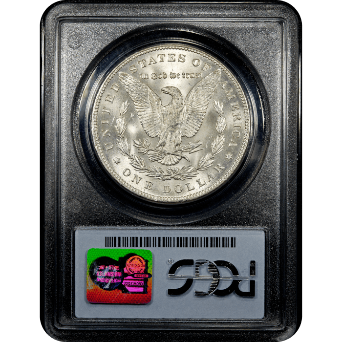 1899 Morgan Dollar ($1) SLAB Image