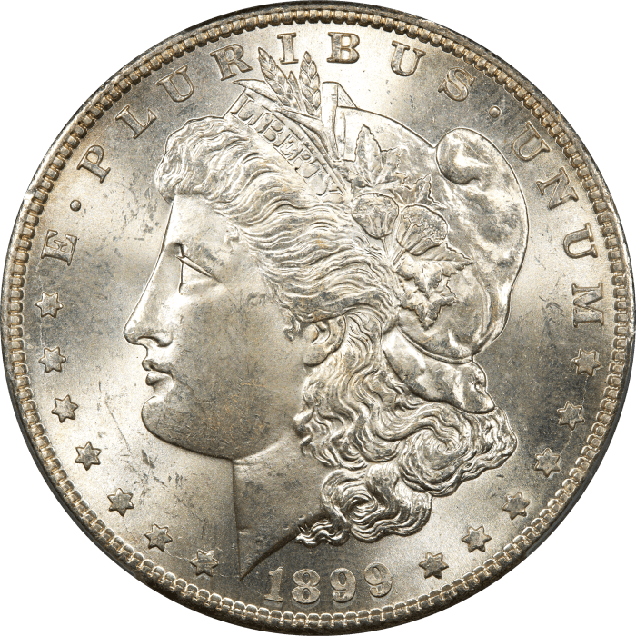 1899-S Morgan Dollar ($1) Obverse Image
