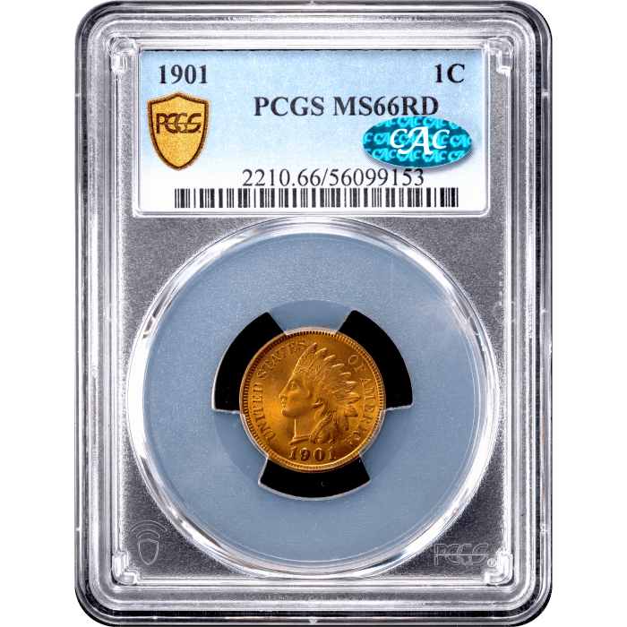 1901 Indian Cent (1c) Obverse Slab Image