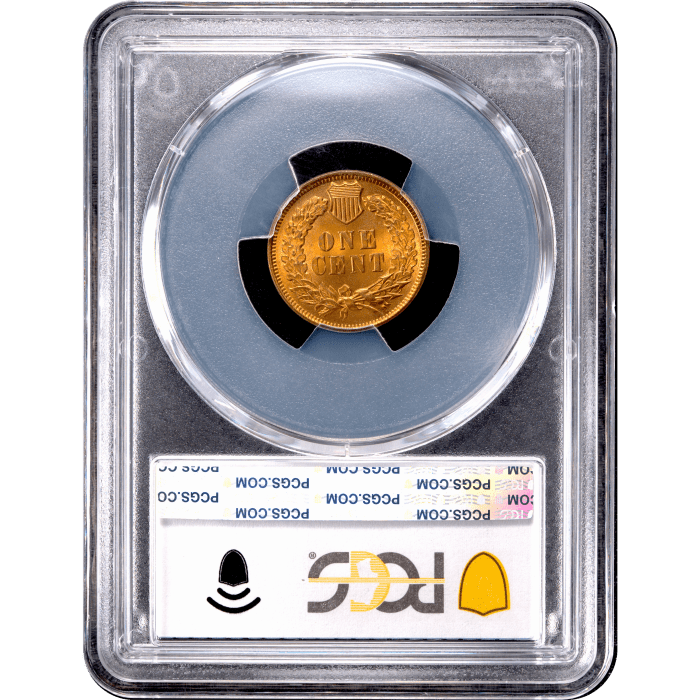 1901 Indian Cent (1c) Reverse Slab Image