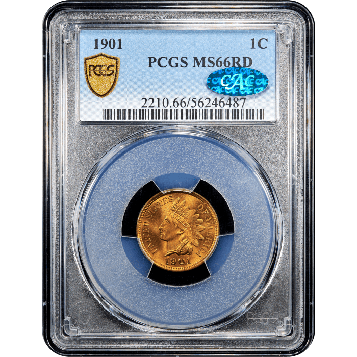 1901 Indian Cent (1c) SLAB Image