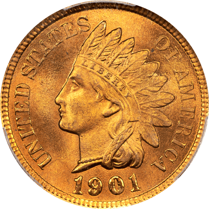 1901 Indian Cent (1c) OBVERSE Image