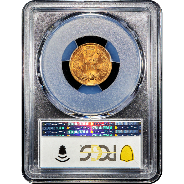 1901 Indian Cent (1c) SLAB Image