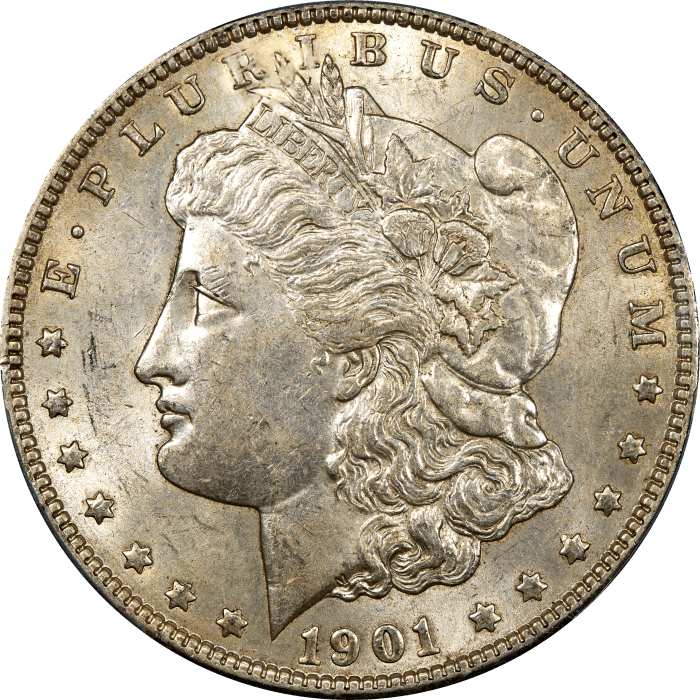 1901 Morgan Dollar ($1) Obverse Image