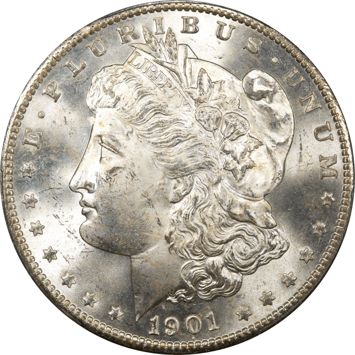 1901-S Morgan Dollar ($1) OBVERSE Image