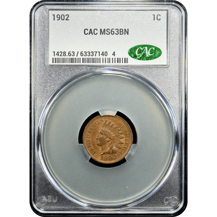 1902 Indian Cent (1c) Obverse Slab Image