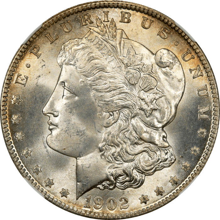 1902-O Morgan Dollar ($1) Obverse Image