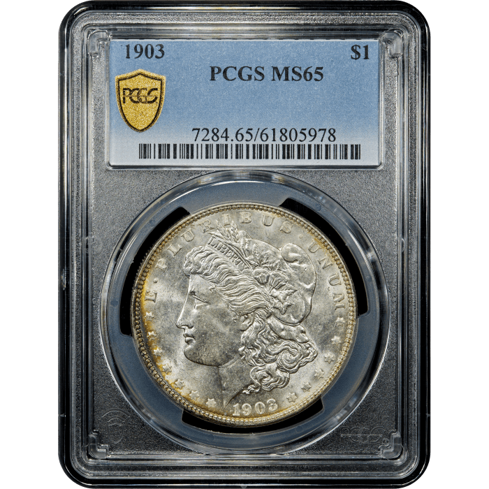 1903 Morgan Dollar ($1) SLAB Image
