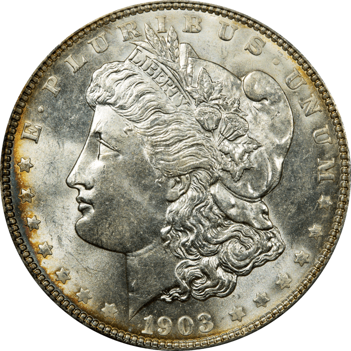 1903 Morgan Dollar ($1) OBVERSE Image