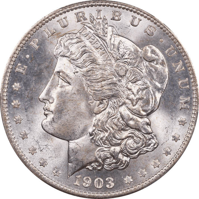 1903-O Morgan Dollar ($1) Obverse Image