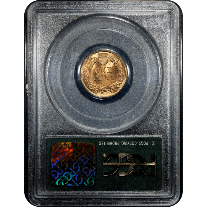 1909 Indian Cent (1c) OGH Reverse Slab Image