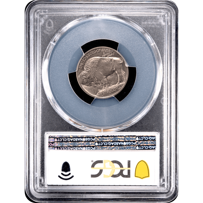 1913 Type 1 Buffalo Nickel (5c) Reverse Slab Image