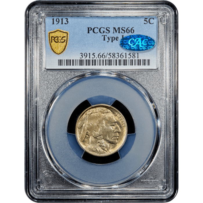 1913 Type 1 Buffalo Nickel (5c) SLAB Image