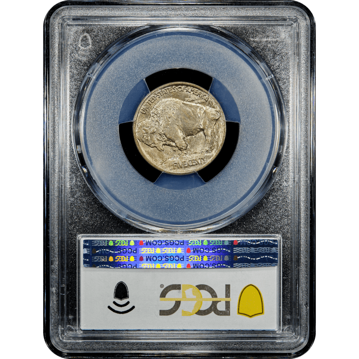 1913 Type 1 Buffalo Nickel (5c) SLAB Image