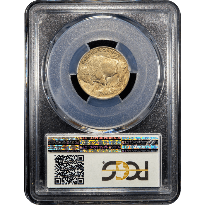 1913 Type 1 Buffalo Nickel (5c) SLAB Image