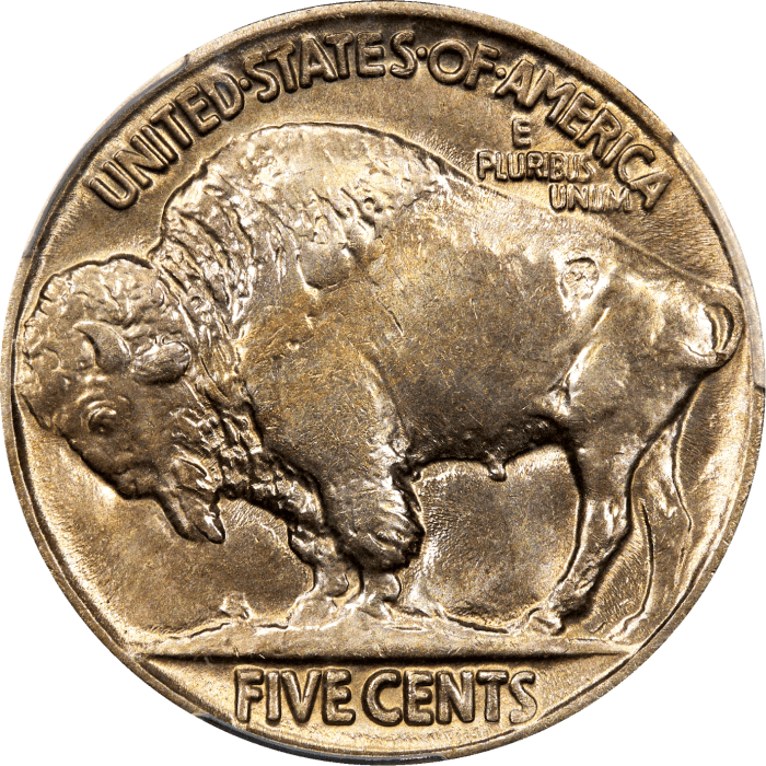 1913 Type 2 Buffalo Nickel (5c) Reverse Image
