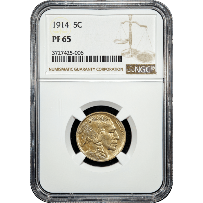 1914 Buffalo Nickel (5c) SLAB Image