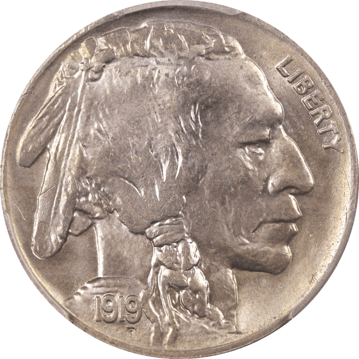 1919 Buffalo Nickel (5c) Obverse Image