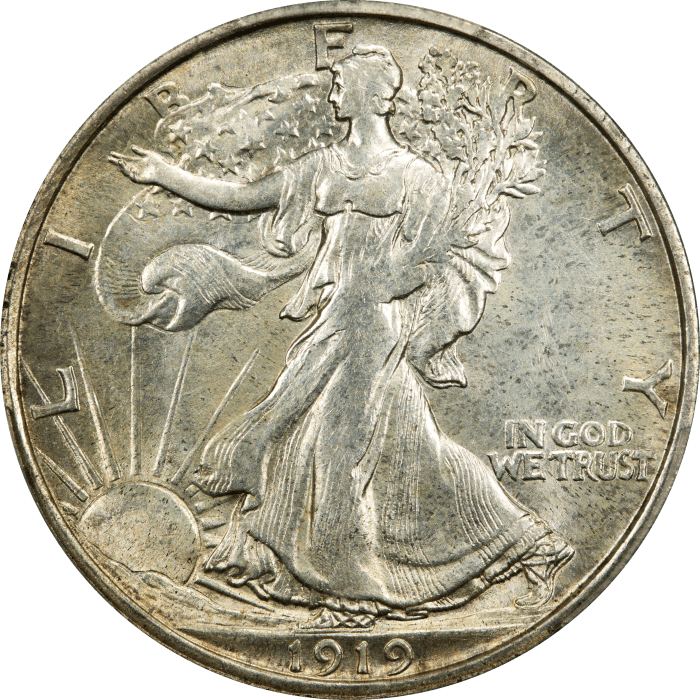 1919-D Walking Liberty Half Dollar (50c) OBVERSE Image