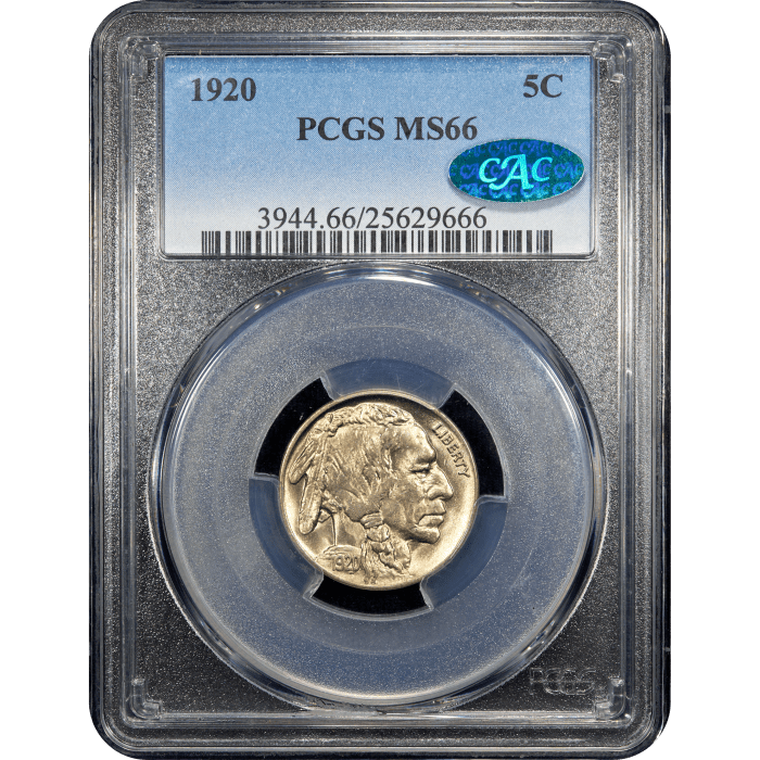 1920 Buffalo Nickel (5c) Obverse Slab Image