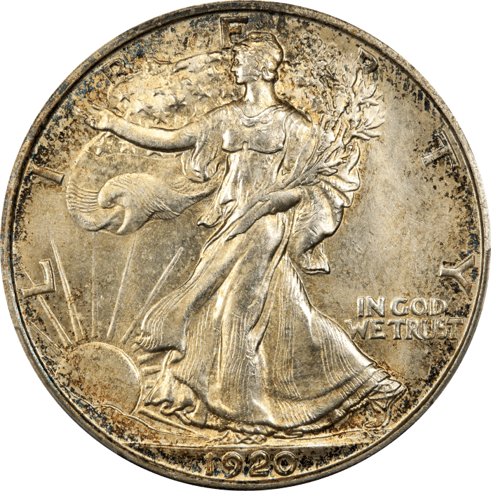 1920 Walking Liberty Half Dollar (50c) Obverse Image