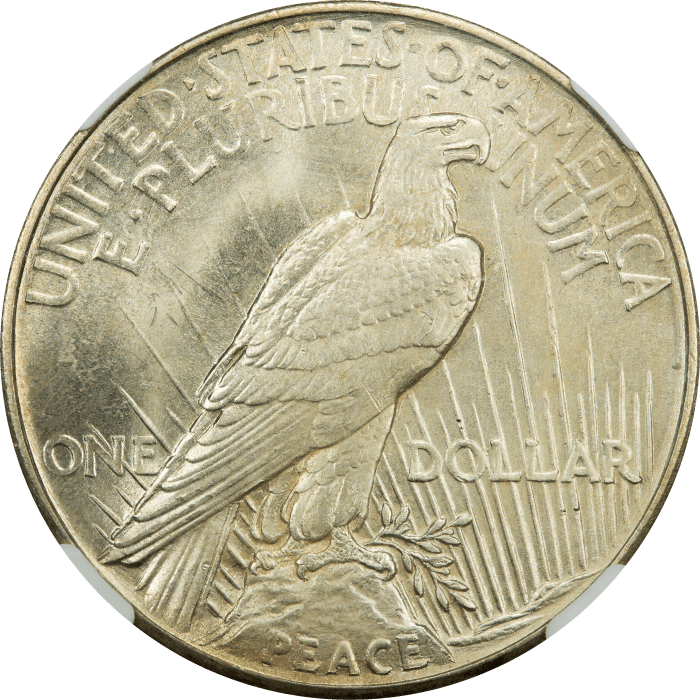 1921 High Relief Peace Dollar ($1) REVERSE Image