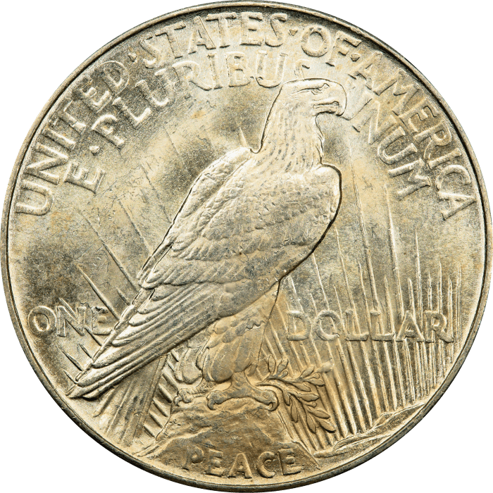 1921 High Relief Peace Dollar ($1) REVERSE Image