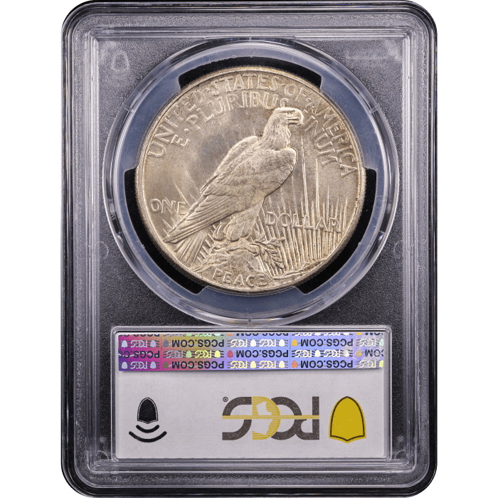 1921 High Relief Peace Dollar ($1) Reverse Slab Image