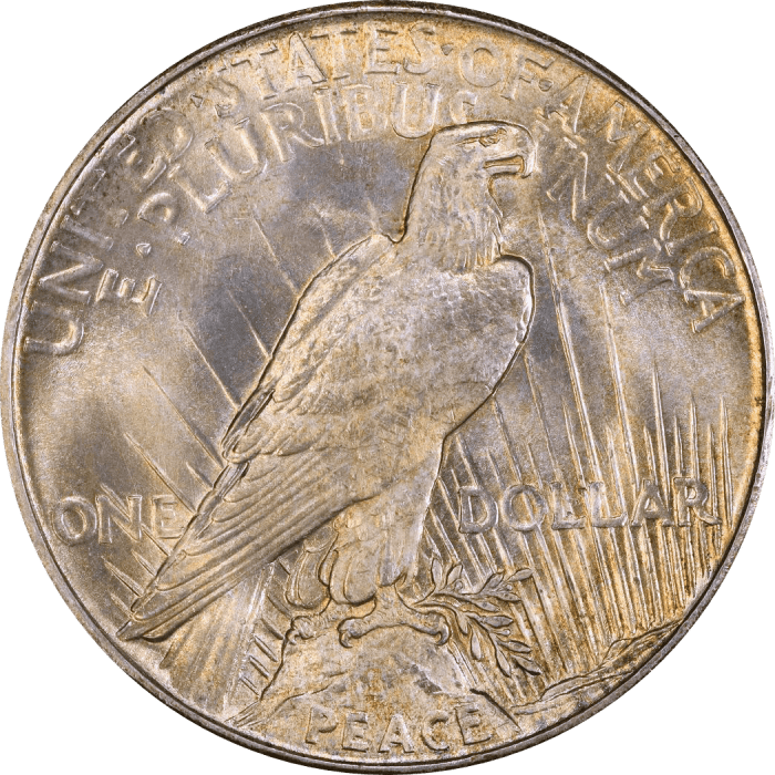 1921 High Relief Peace Dollar ($1) Reverse Image