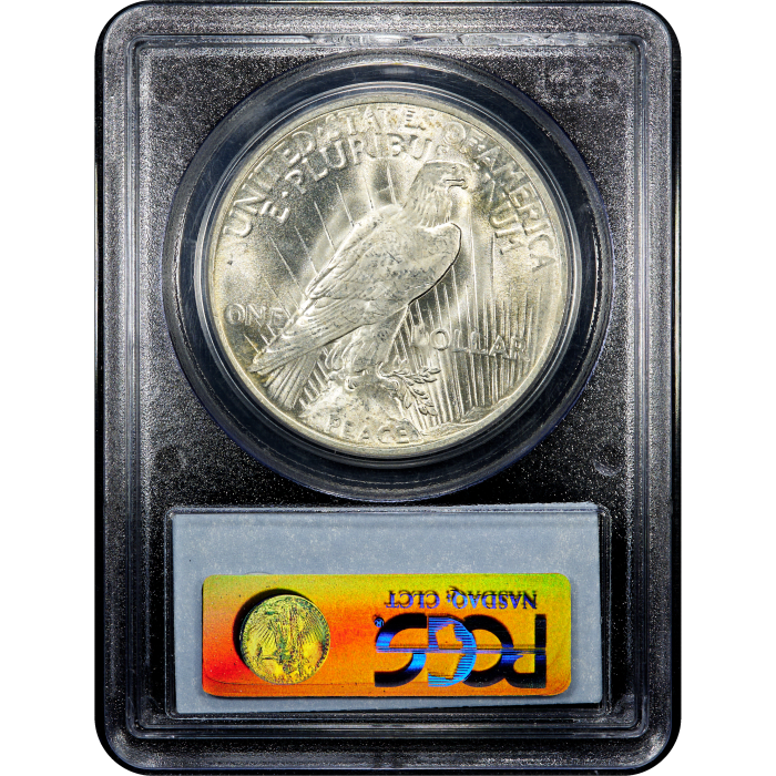 1922 Peace Dollar ($1) Reverse Slab Image