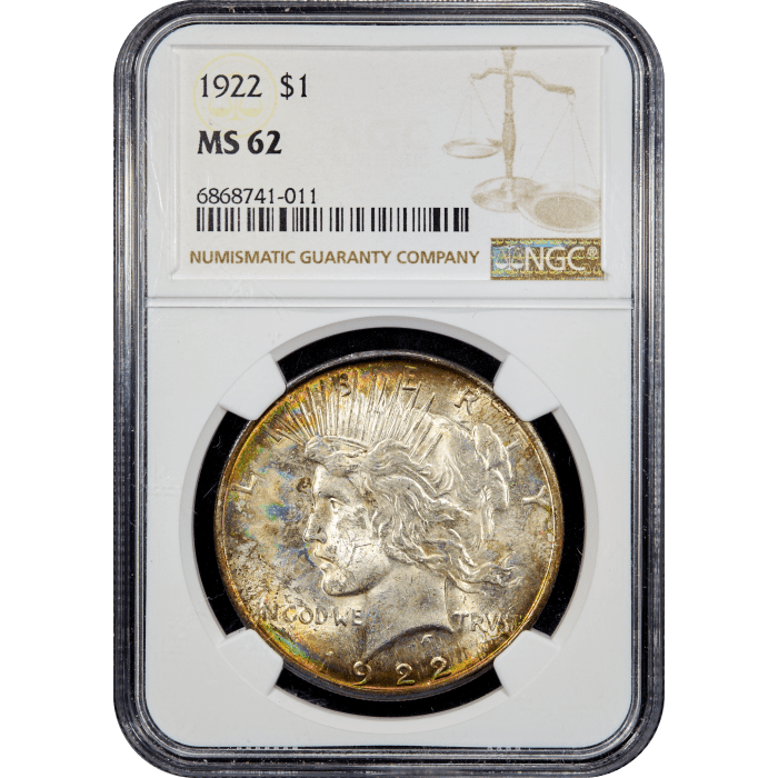 1922 Peace Dollar ($1) Rainbow Toner SLAB Image