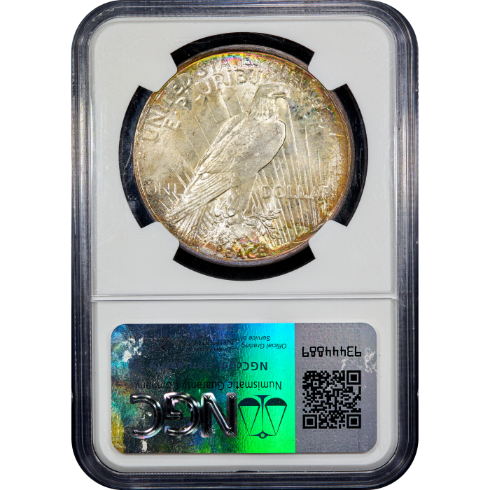 1922 Peace Dollar ($1) Rainbow Toner SLAB Image
