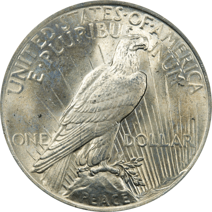 1922 Peace Dollar ($1) Rattler Reverse Image