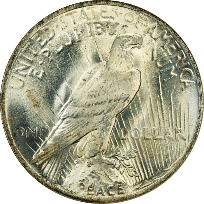 1923 Peace Dollar ($1) REVERSE Image