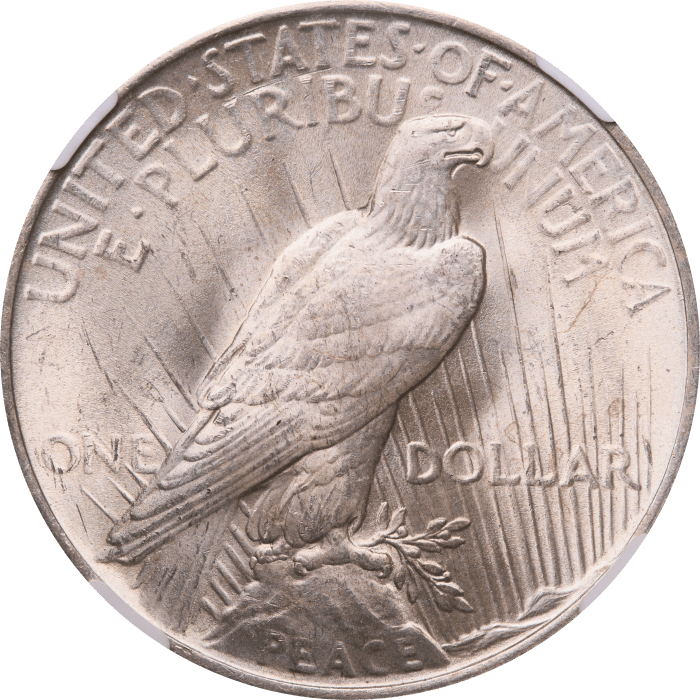 1923 Peace Dollar ($1) Reverse Image
