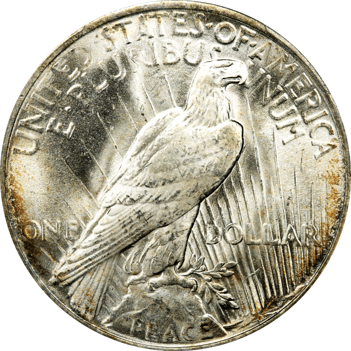 1923 Peace Dollar ($1) Reverse Image
