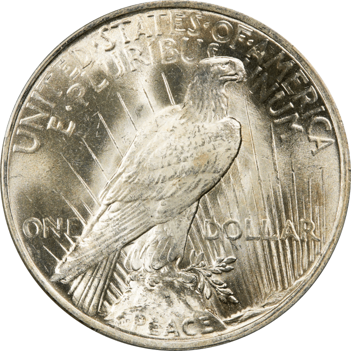 1923 Peace Dollar ($1) Reverse Image