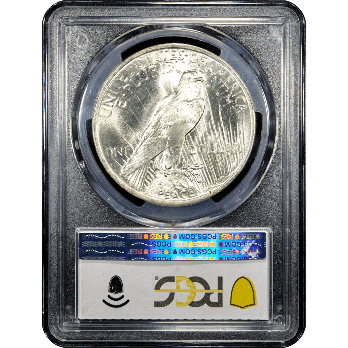 1923 Peace Dollar ($1) Reverse Slab Image