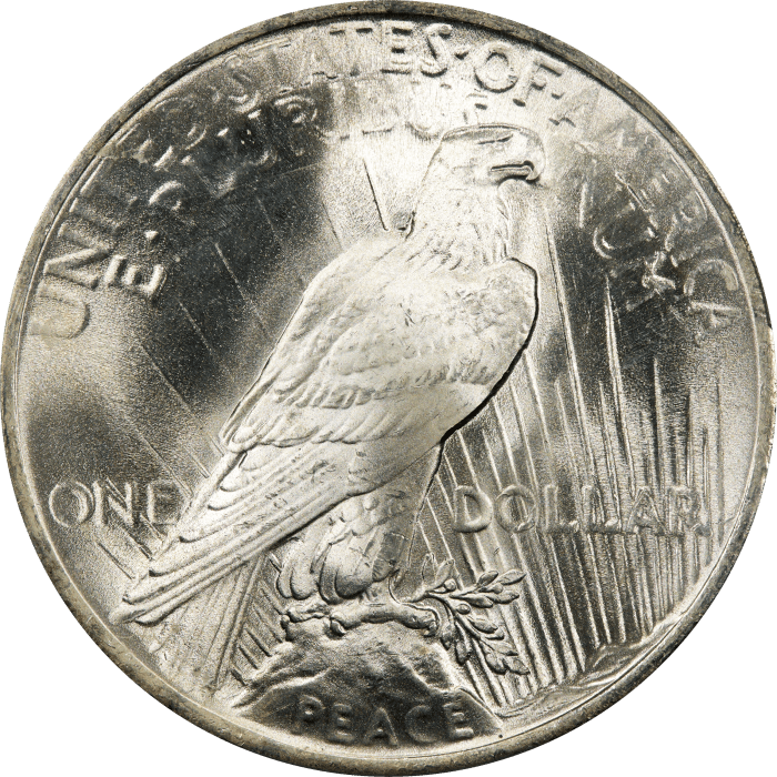 1923 Peace Dollar ($1) Reverse Image