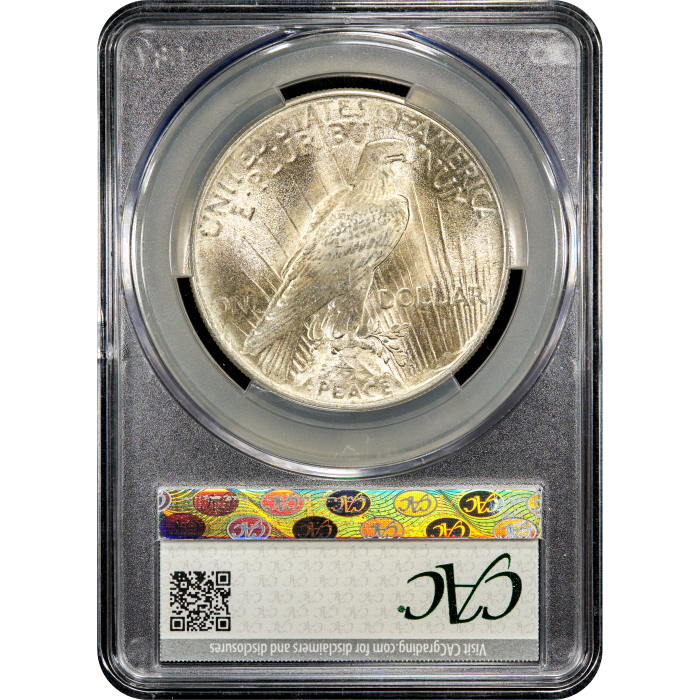 1924 Peace Dollar ($1) Reverse Slab Image