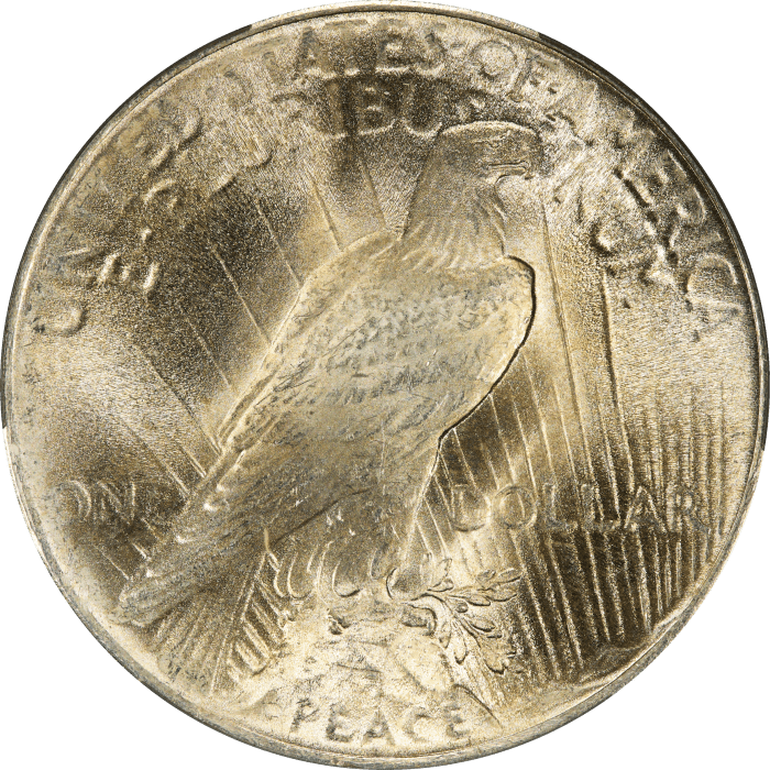 1924 Peace Dollar ($1) Reverse Image