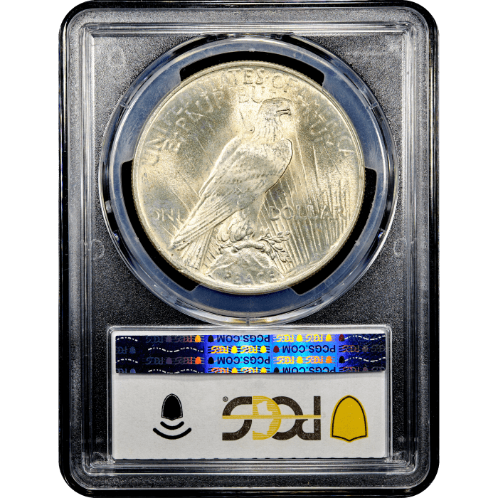 1924 Peace Dollar ($1) Reverse Slab Image